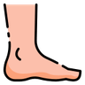 Podiatry icon